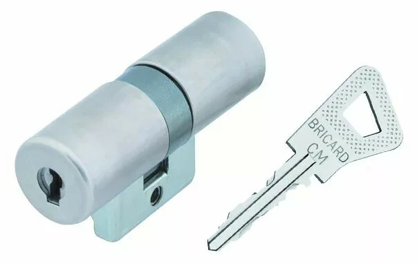 Cylindre Spécifique : Bricard Bloctout 3 Cylindre Spécifique : Bricard Bloctout