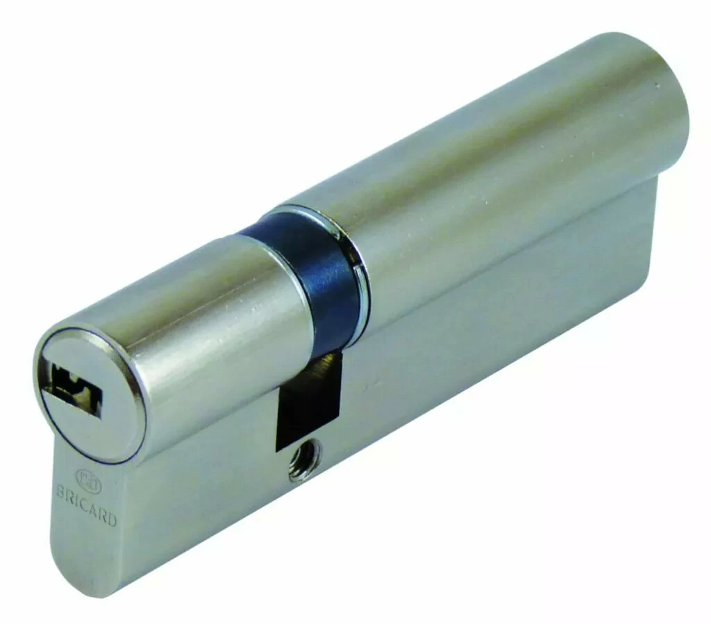 Serrure Multipoint En Applique : Cylindre Pour Serrure Série 73 Bricard 6 Serrure Multipoint En Applique : Cylindre Pour Serrure Série 73 Bricard – Image 4