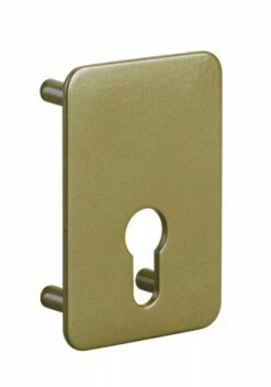 Contreplaque Pour Boîtier De Verrou à Cylindre Profilé - THIRARD