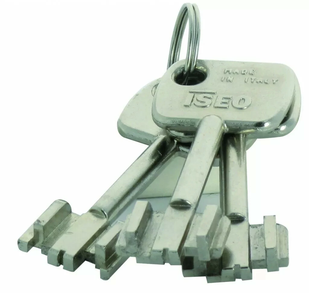 Serrure Multipoint En Applique : Série Perfecta - Iséo 5 Serrure Multipoint En Applique : Série Perfecta - Iséo – Image 3