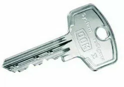 Clé Supplémentaire Pour Cylindre RS Sigma