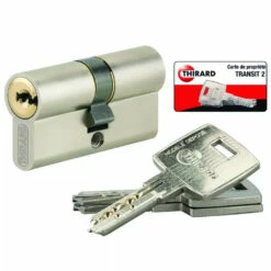 Cylindre Européen De Sûreté : Cylindre TRANSIT 2 LN Varié