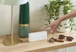 Centrale Domotique Tahoma -SETIN Boutique SET 86179